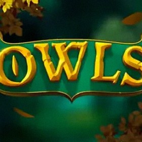 Icône carrée Owls parmi les machines à sous WinKingdom