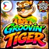 Groovin Tiger NV Casino Bonus Ελλάδα