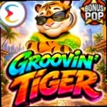 Groovin Tiger NV Casino Bonus w Polsce
