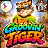 Groovin Tiger NV Casino Bonus România